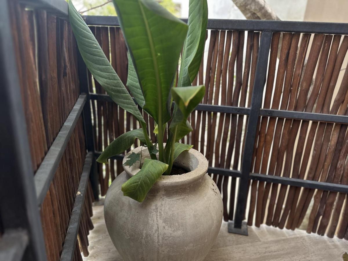 Ophelia Tulum Condo In Aldea Zama Kültér fotó