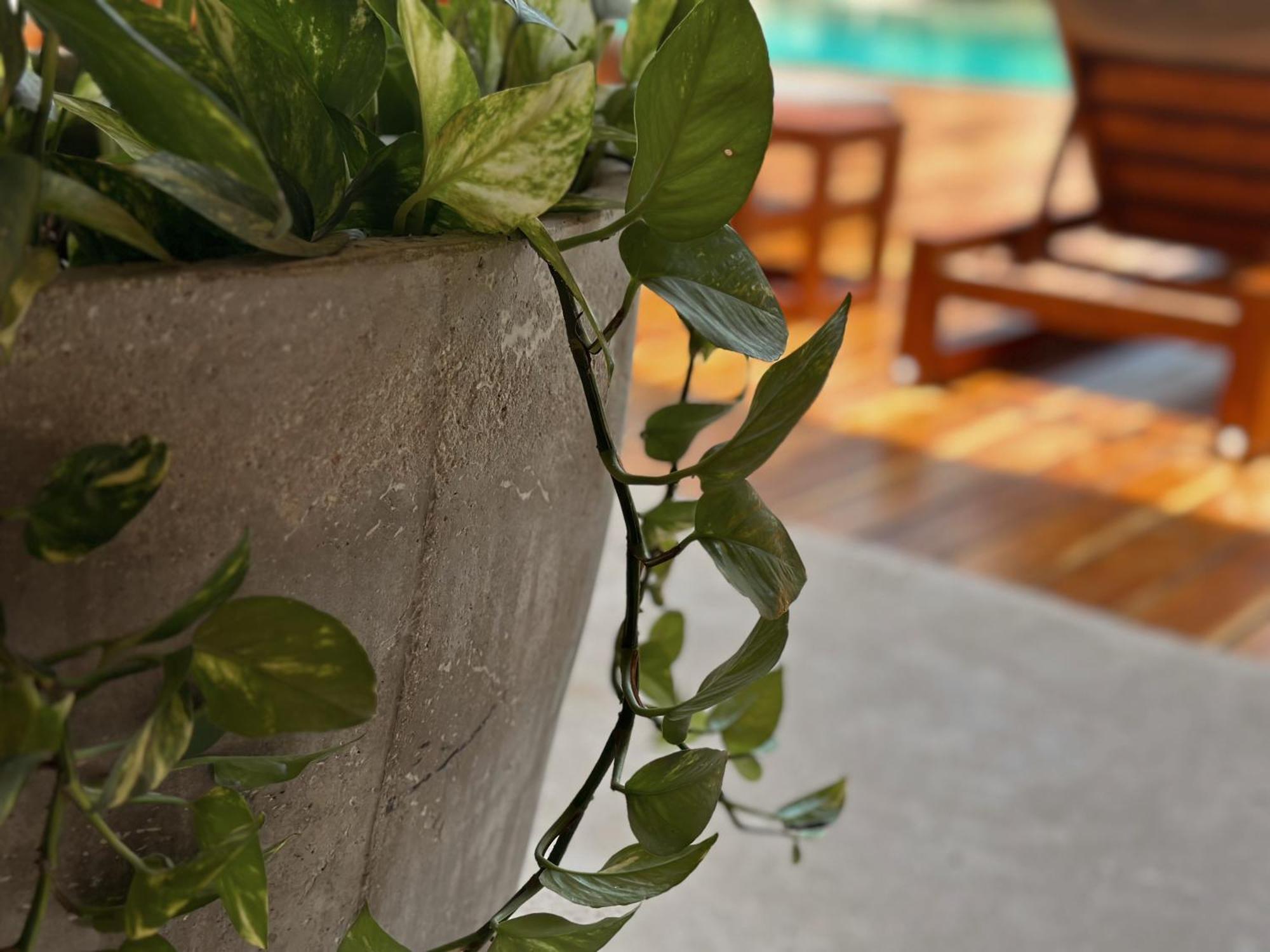 Ophelia Tulum Condo In Aldea Zama Kültér fotó