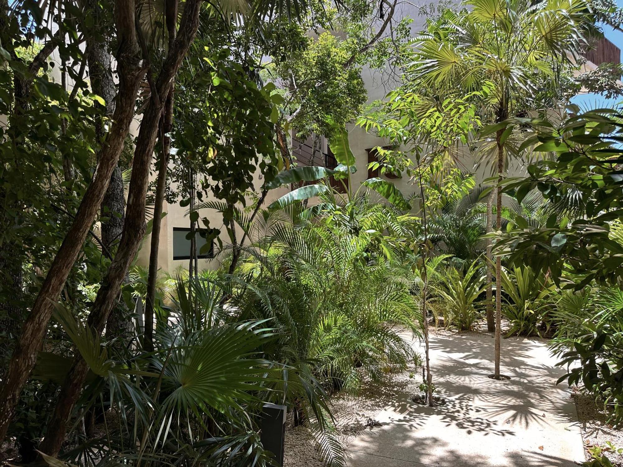 Ophelia Tulum Condo In Aldea Zama Kültér fotó
