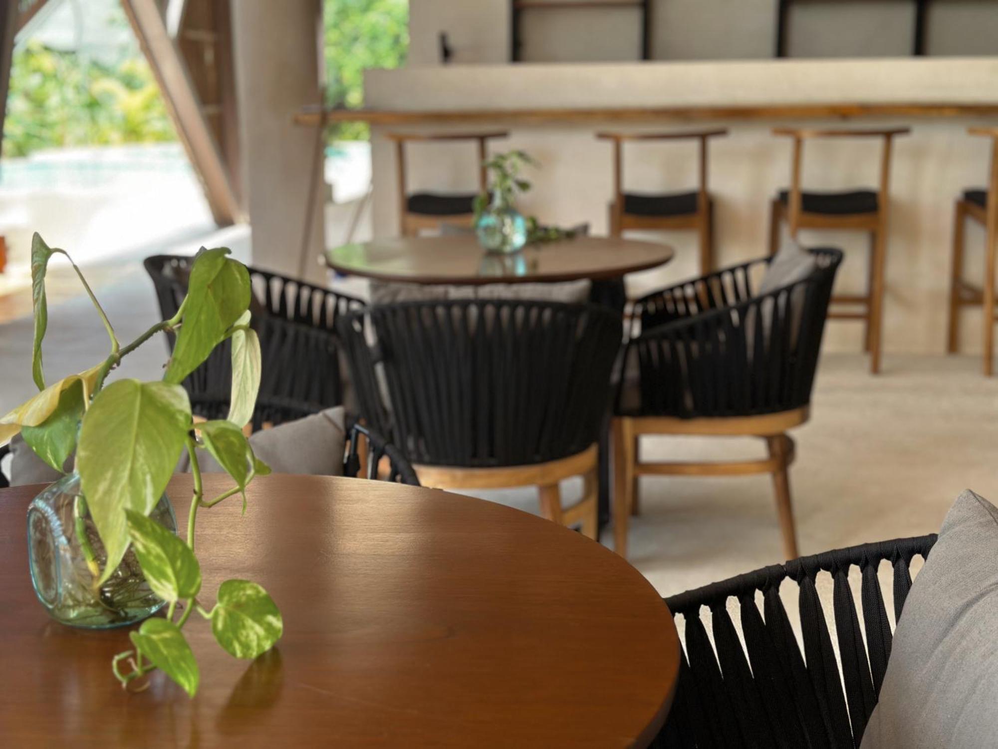 Ophelia Tulum Condo In Aldea Zama Kültér fotó